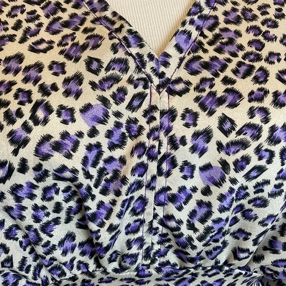 Folly PDX Sarah Bibb Dress Cheetah Short Sleeve Tie Waist M Office Portland - Picture 7 of 16